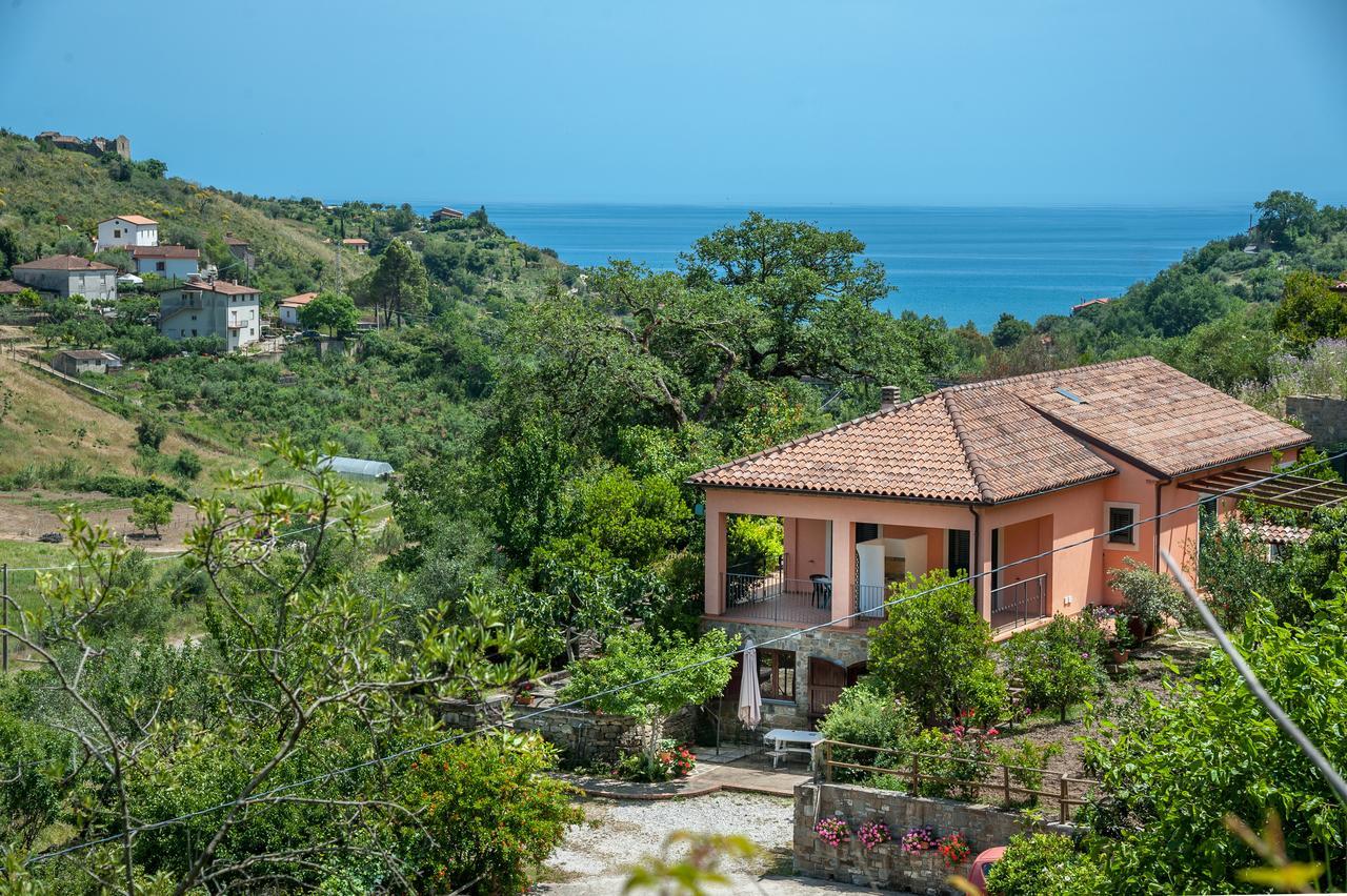 Il Melograno Bed & Breakfast Pollica Ngoại thất bức ảnh